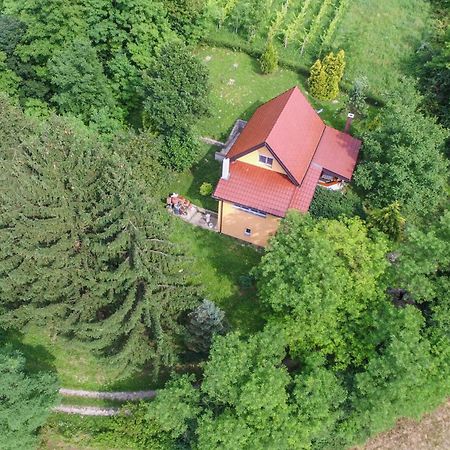 Villa Lorena Krapinske Toplice Bagian luar foto
